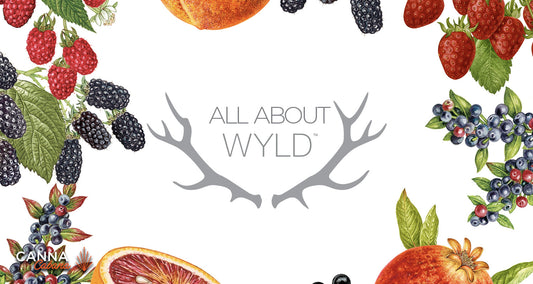 A Look at Wyld Edibles