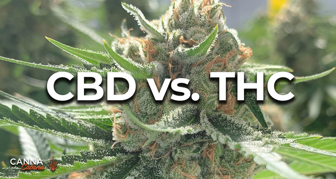 Blur Bud Cannabis