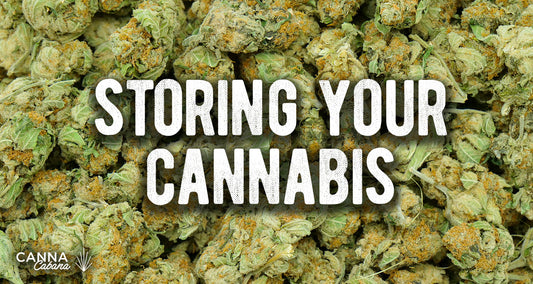 How Long Does Weed Stay Good For?