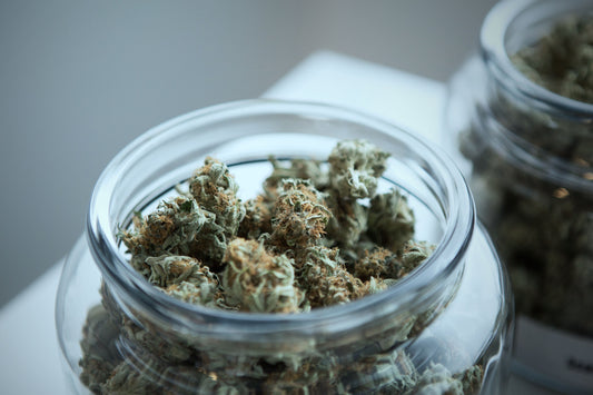 storing-cannabis-properly