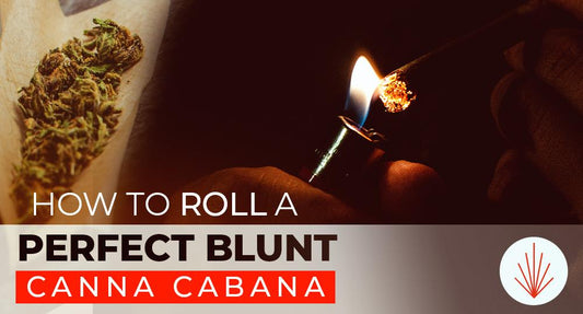 Canna Cabana Featured Image V3