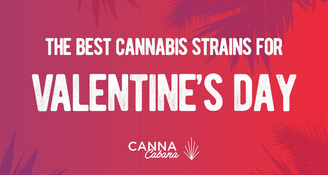 valentine’s day main blog image