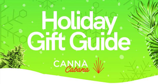 holiday gift guide blog main image