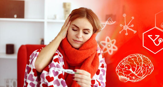 The Endocannabinoid System