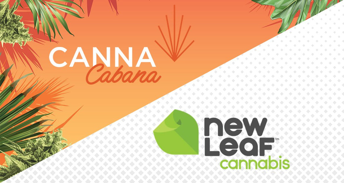 New Leaf Canna Cabana Blog Image