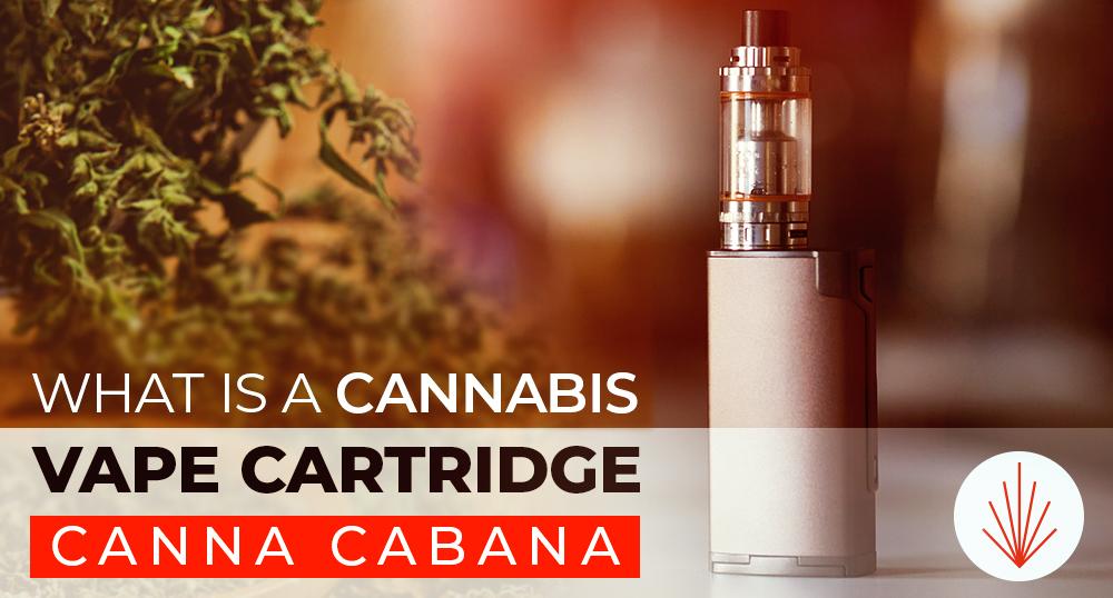 Canna Cabana Featured Image V2