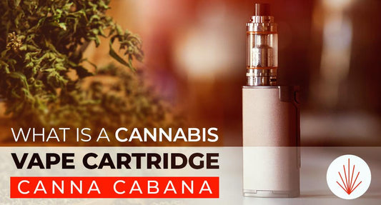 Canna Cabana Featured Image V2