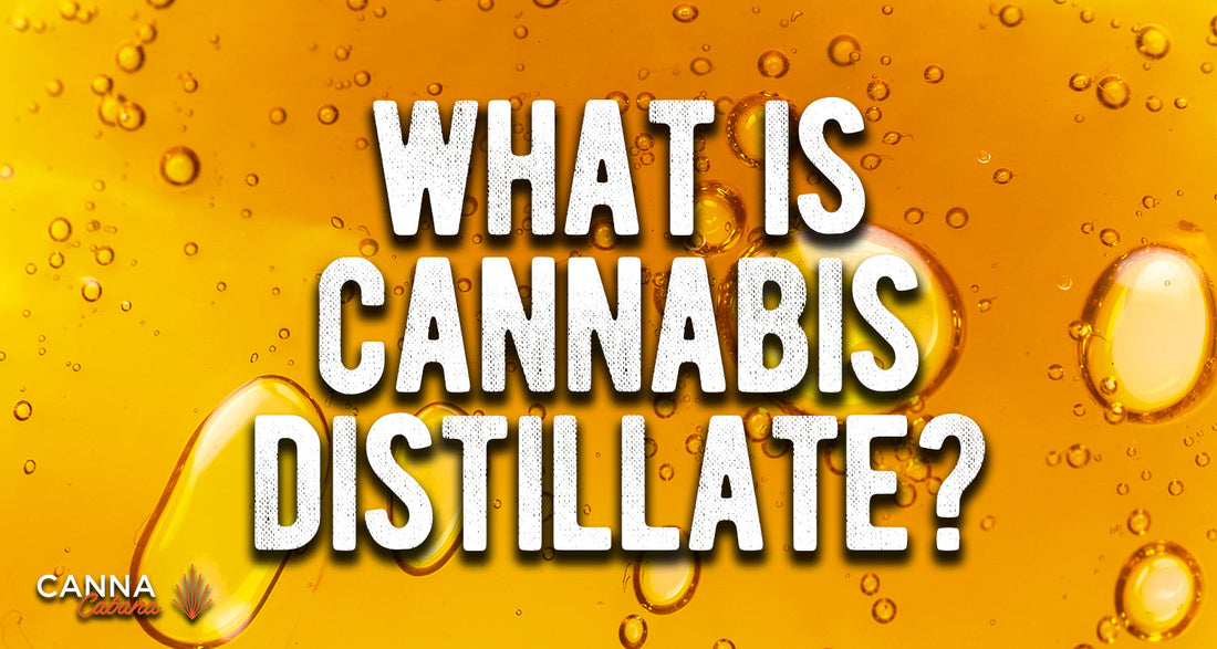 What is Cannabis Distillate?