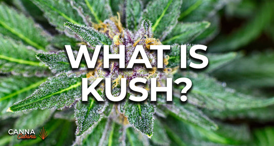 What is kush?