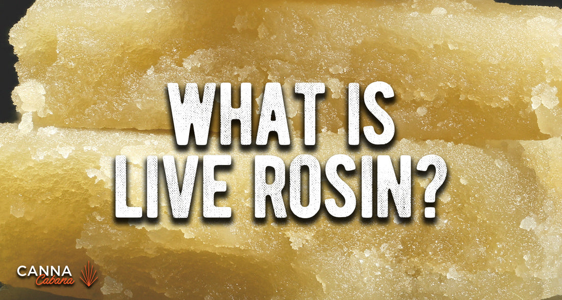 What is Live Rosin?